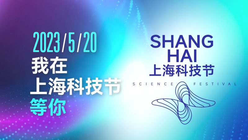 企业级搜索引擎数据库索引：构建高效检索的基石